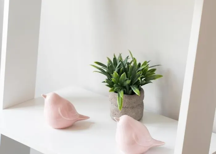 Framed Corner By Portugal Active * Porto