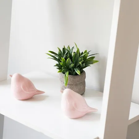 Framed Corner By Portugal Active * Πόρτο