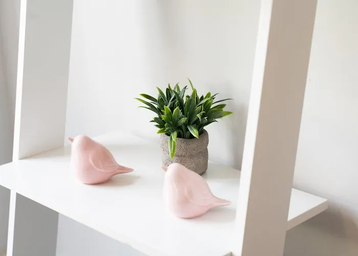 Framed Corner By Portugal Active * ポルト